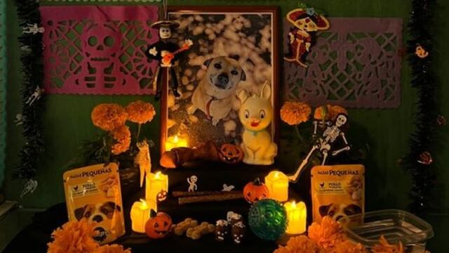 8 elementos que no pueden faltar en la ofrenda para mascotas de Día de Muertos