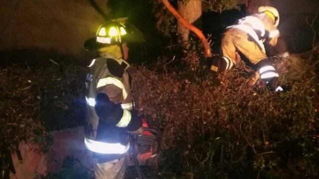 Bomberos. Atención de emergencias.