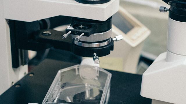 Día Mundial de la Ciencia