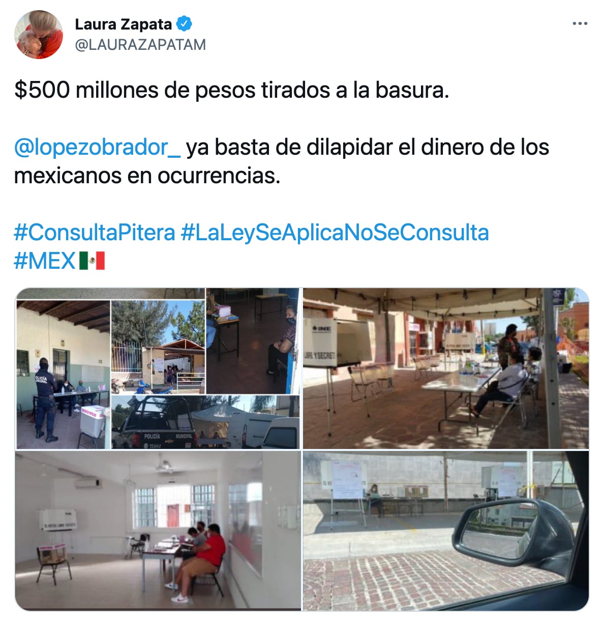 Laura Zapata sobre Consulta Popular