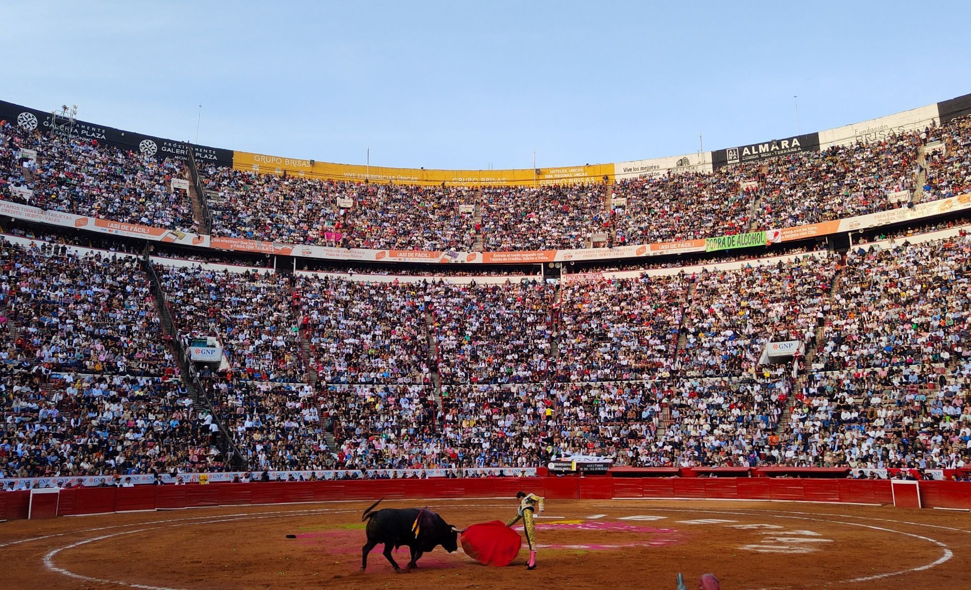 Corridas de toros