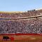 Corridas de toros: Envían iniciativa para prohibirlas, otra vez