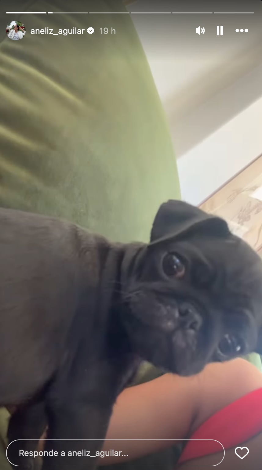 Aneliz Aguilar sería fan de Belinda y un video la habría exhibido