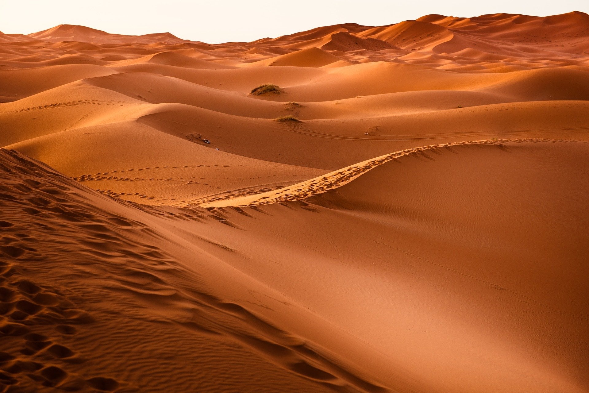 Desierto del Sahara