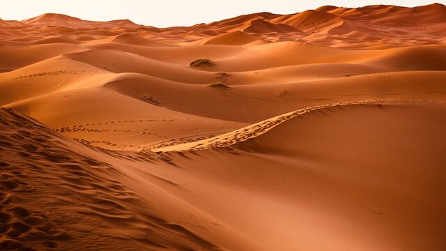 Desierto del Sahara