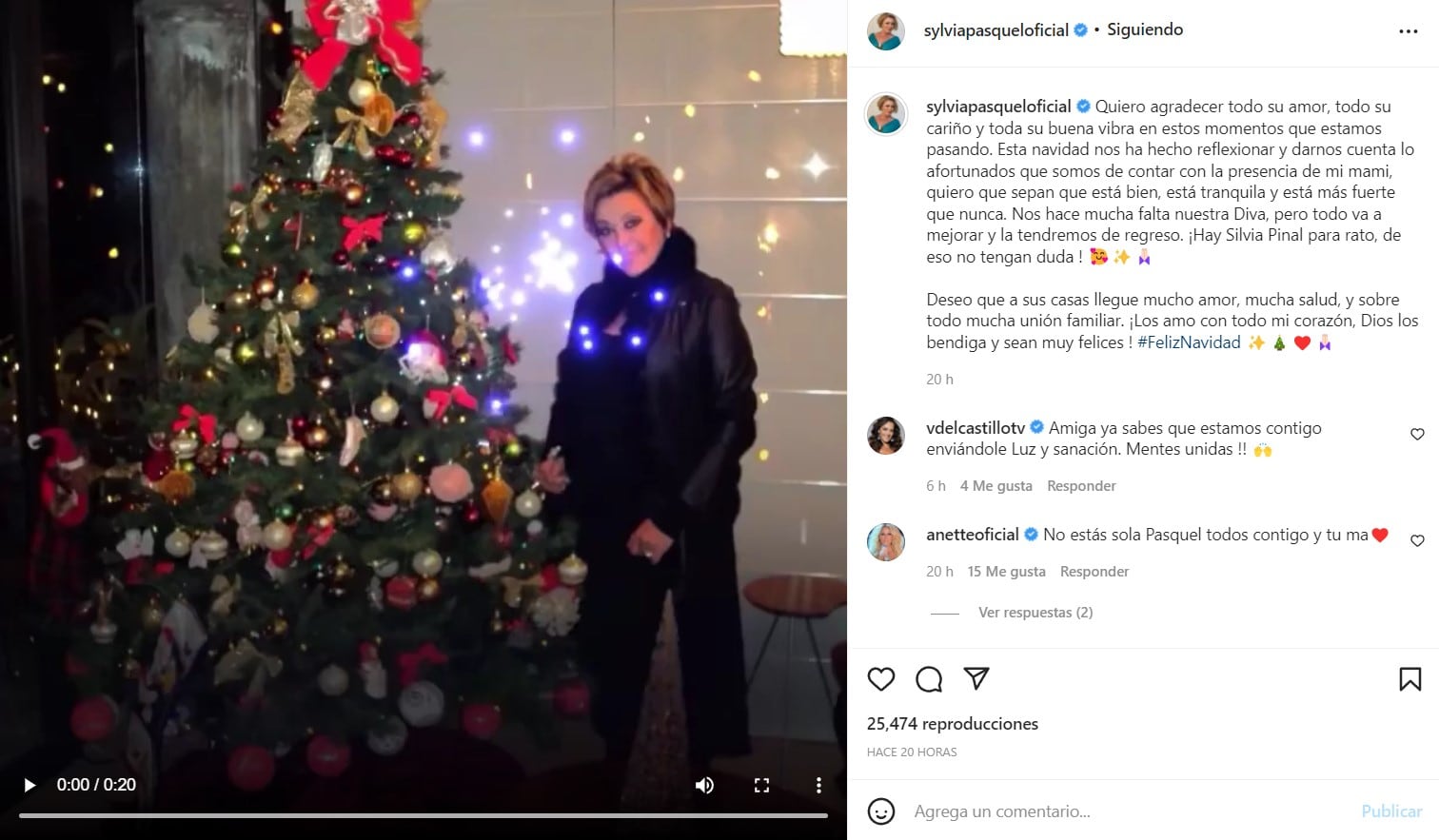 Sylvia Pasquel, mensaje de Navidad