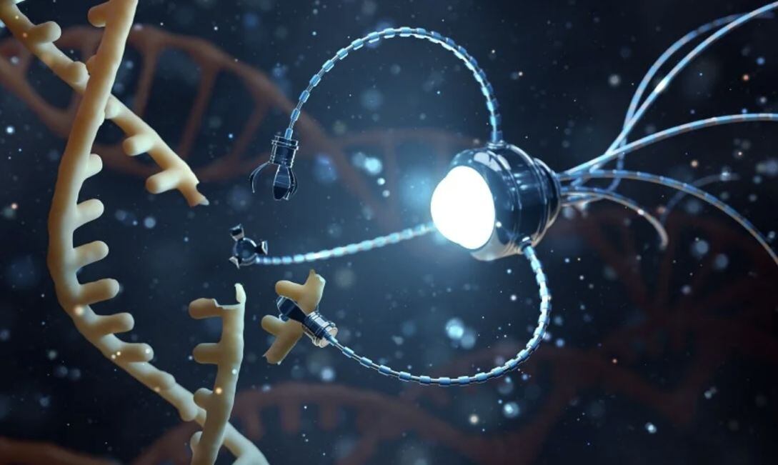 Nanorobots