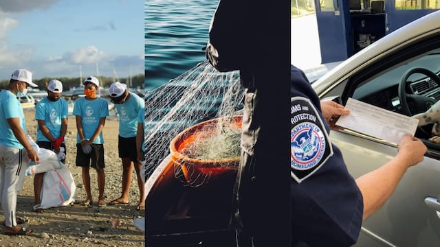 Este 26 de enero es el Día Mundial de la Educación Ambiental, el Día Mundial del Pescador y el Día Internacional de la Aduana