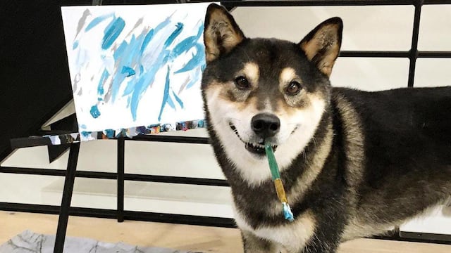 Hunter Shiba Inu pintor