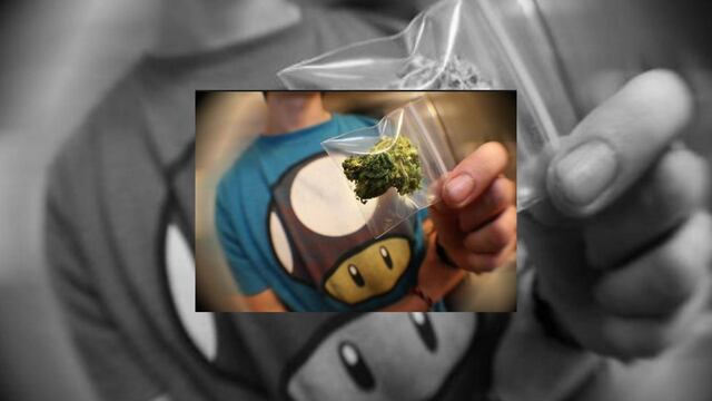 ¿Así que la marihuana, lejos de ser una droga, una sustancia adictiva que daña y altera la función cerebral, es imprescindible para que un individuo progrese en lo personal y se convierta en un individuo pleno y feliz?