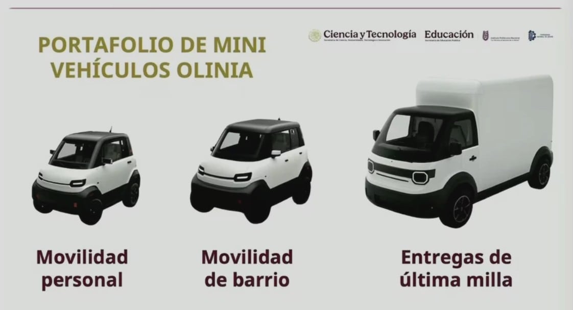 Olinia Cargo