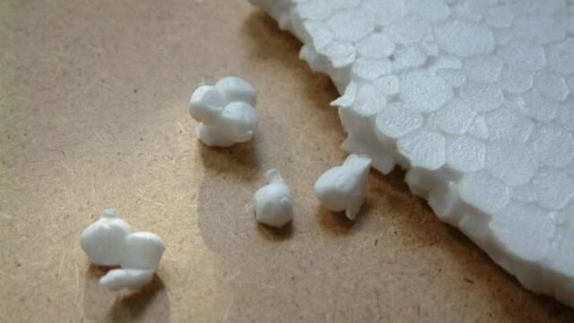 Foto: Mundo Ecológico