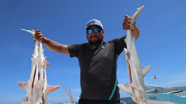 Marea roja en Yucatán
