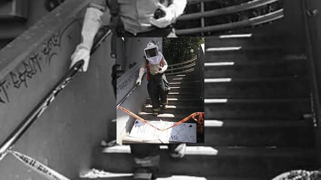 El puente peatonal era utilizado por varias personas cuando ocurrió el ataque, lo que ocasionó que algunos transeúntes fueran atropellados por la gente que corría.