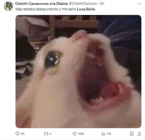Memes de Luna Bella por su video de contenido sexual en Metro CDMX