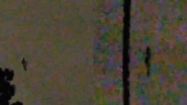 Extraño ser volador