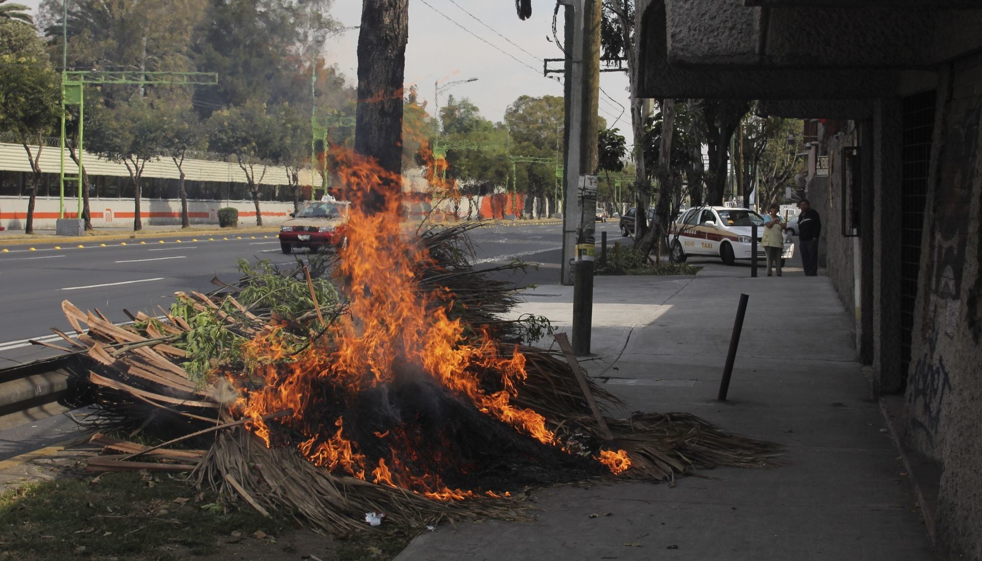 Estas acciones son delitos ambientales en Estado de México