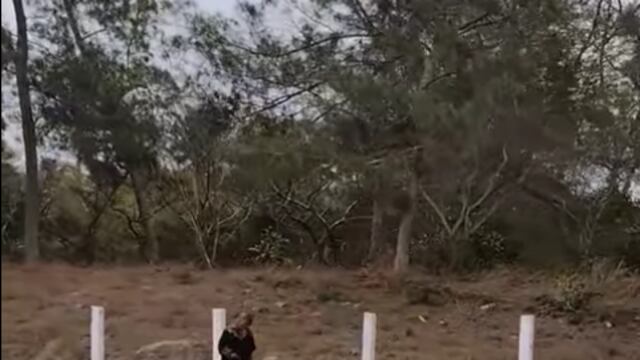 Un zombie en Tamaulipas