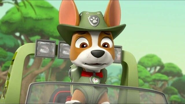 Estos son los fondos de pantalla de Tracker de Paw Patrol para smartphone
