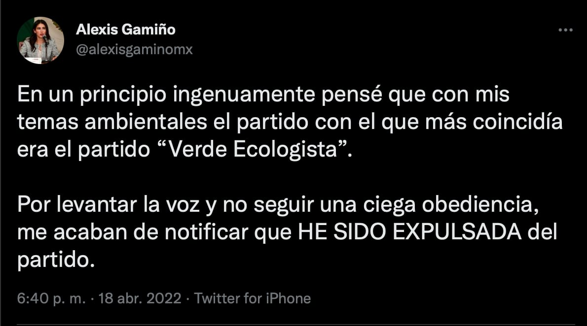 Alexis Gamiño es expulsada del PVEM por votar en contra de la reforma eléctrica