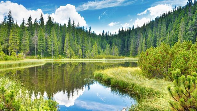 Gruma mantiene compromiso social de 70 años con energías renovables y menor uso de agua