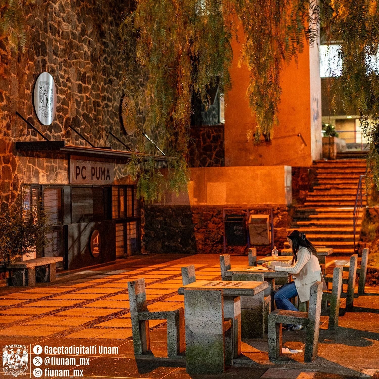 CDMX ilumina edificios y monumentos por el 25N