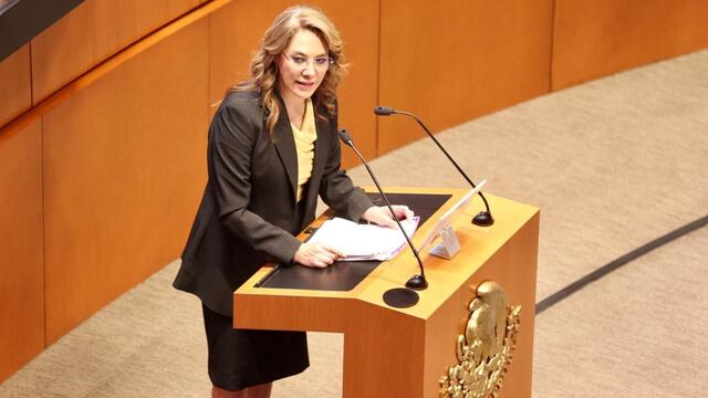 Blanca Lilia Ibarra Cadena, presidenta INAI