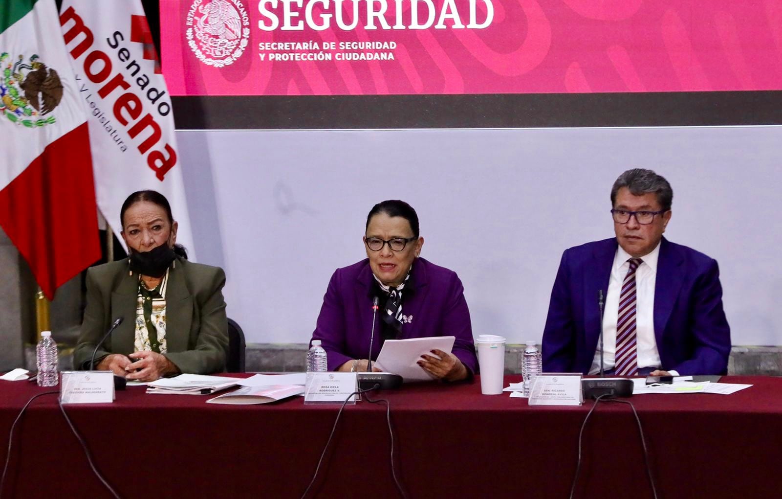 Rosa Icela Rodríguez, titular de la SSPC
