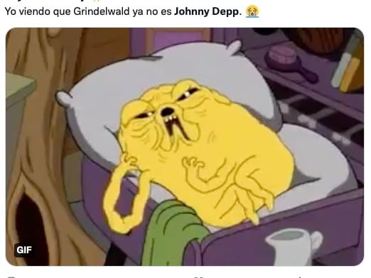 Memes de Mads Mikkelsen y Johnny Depp