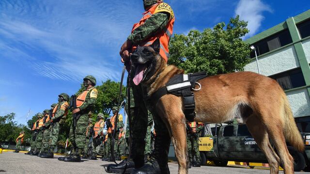 Grupo canino localiza 8 kilos de presunta metanfetamina
