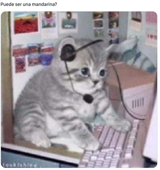 ¿Comerse una naranja mientras te bañas?Es el nuevo trend viral de redes