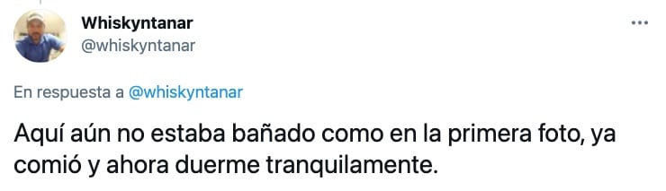 'Blue', perro adoptado