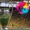 ¡Oficial! La Champions League tendrá nueva televisora en México