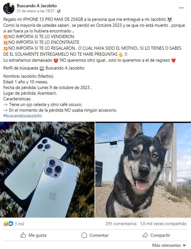Perro se pierde en Nuevo León y dueño ofrece su iPhone a quien lo regrese
