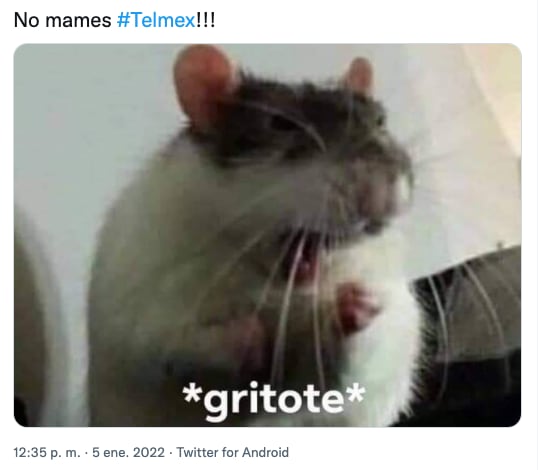 Meme de la caída de Infinitum de Telmex