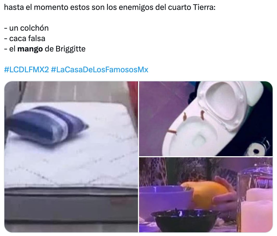 Memes del mango de Briggitte Bozzo en La Casa de los Famosos México 2024