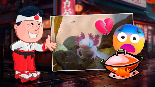 ¿Ajolotes fritos? Un restaurante japonés los sirve dentro de su exótico menú.