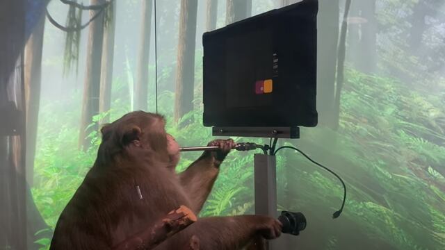 Mono en experimento de Neuralink