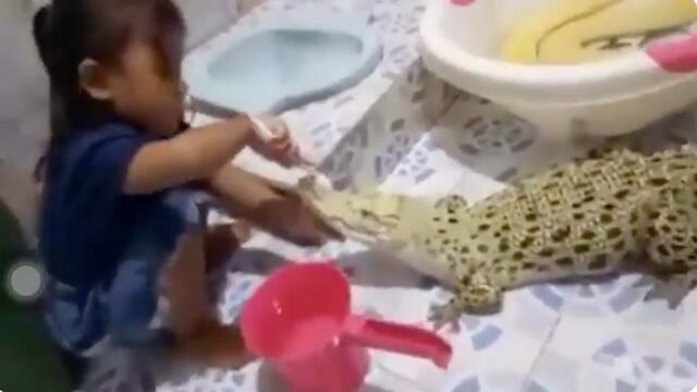Niña con cocodrilo