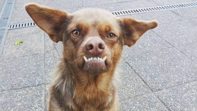 'Murci', mejor conocido como 'Chilaquil'.