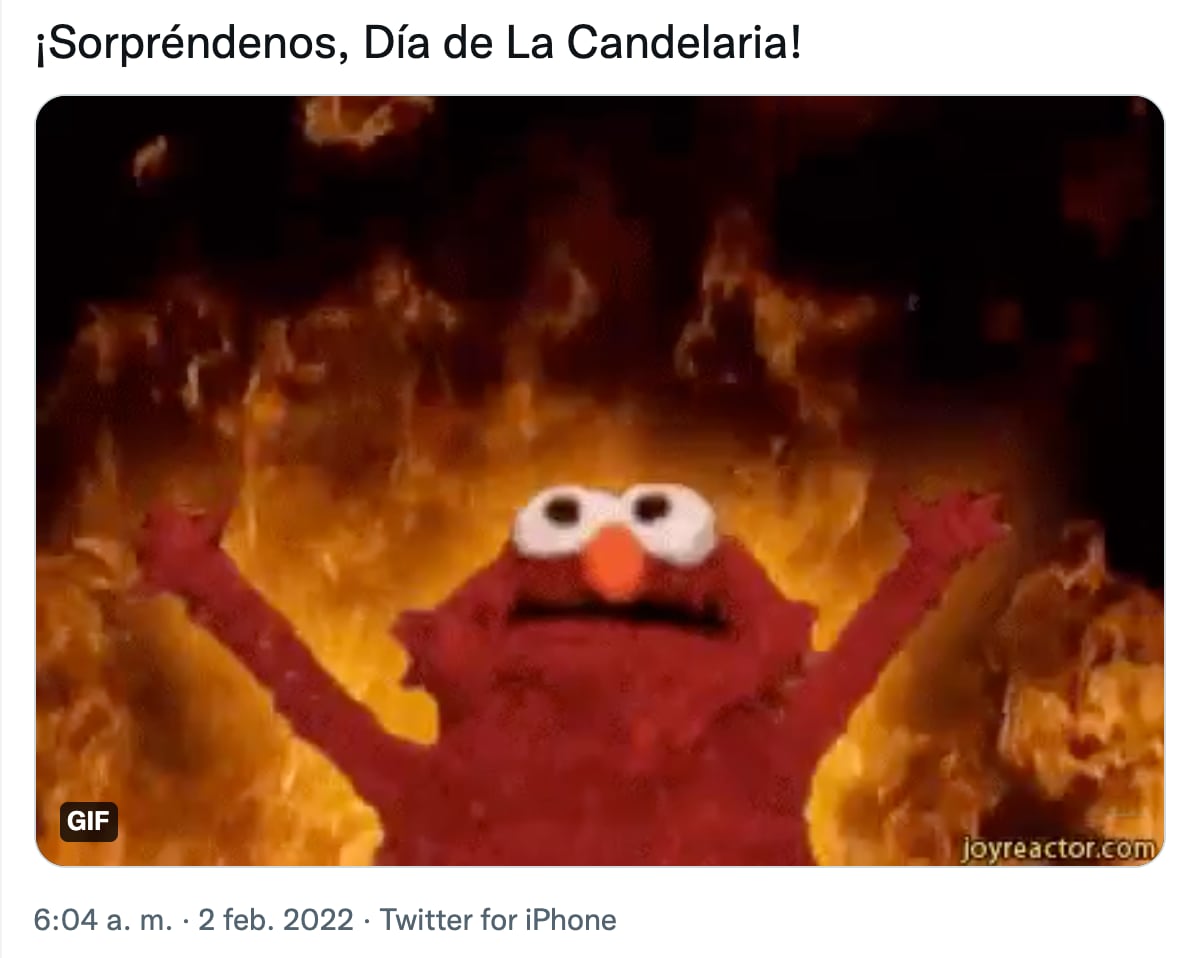 Meme del Día de la Candelaria