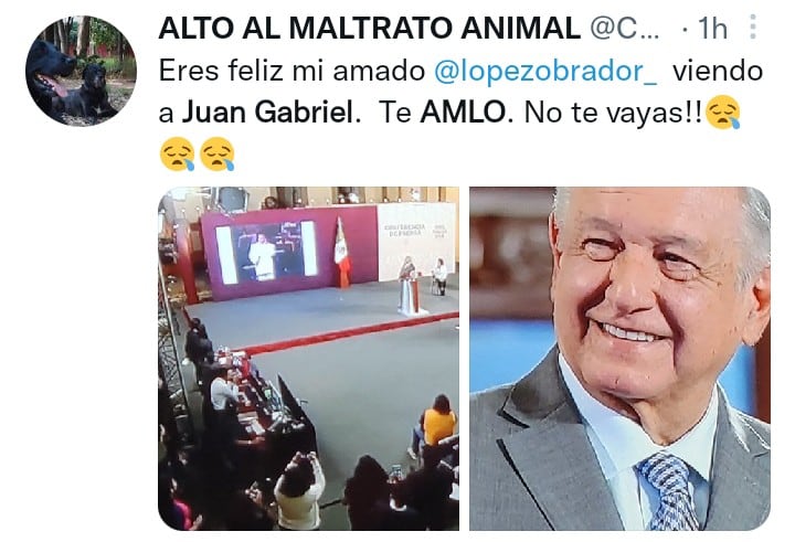 Meme AMLO