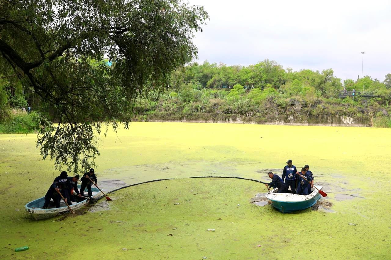 Arrancaron los trabajos de rescate del lago del Parque Ecológico Huayamilpas, con labores de limpieza del cuerpo de agua.