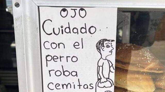 Alertan por perro que roba cemitas