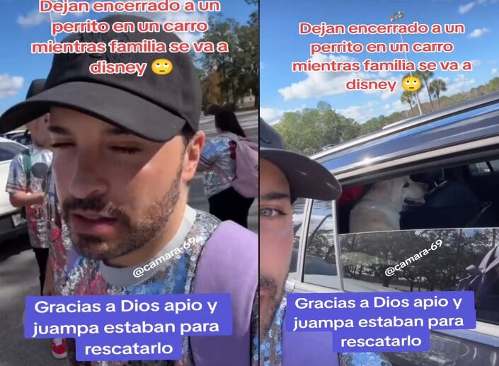 Apio Quijano y perrito abandonado en Disneyland