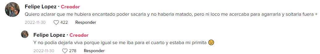 Joven cuenta lo que sucedió con la araña que encontró en su baño