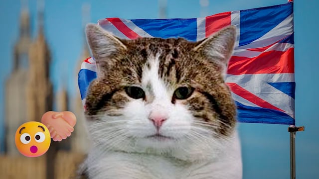 Larry, el gato de Downing Street, conocerá a su séptimo primer ministro