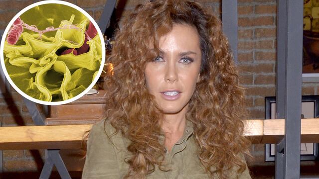 ¿Qué es la salmonela que tiene Sabine Moussier?