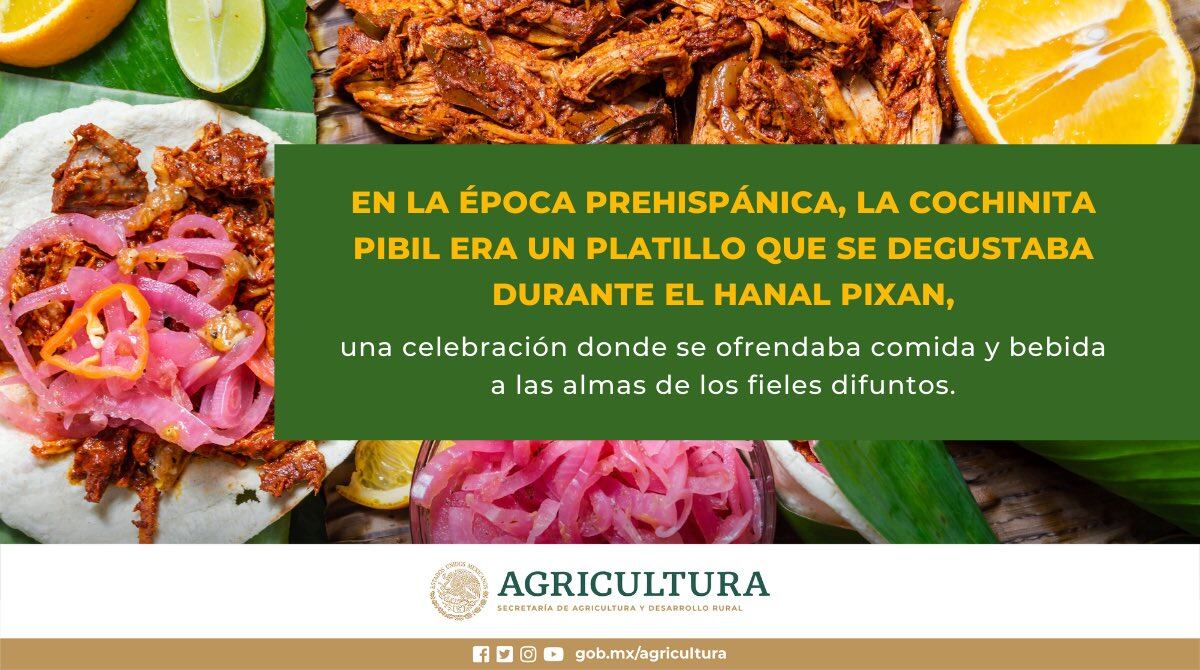 Secretaría de Agricultura sobre Cochinita Pibil