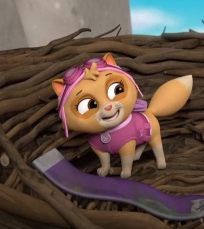 Skye de los Gatitos Desastrosos de Paw Patrol